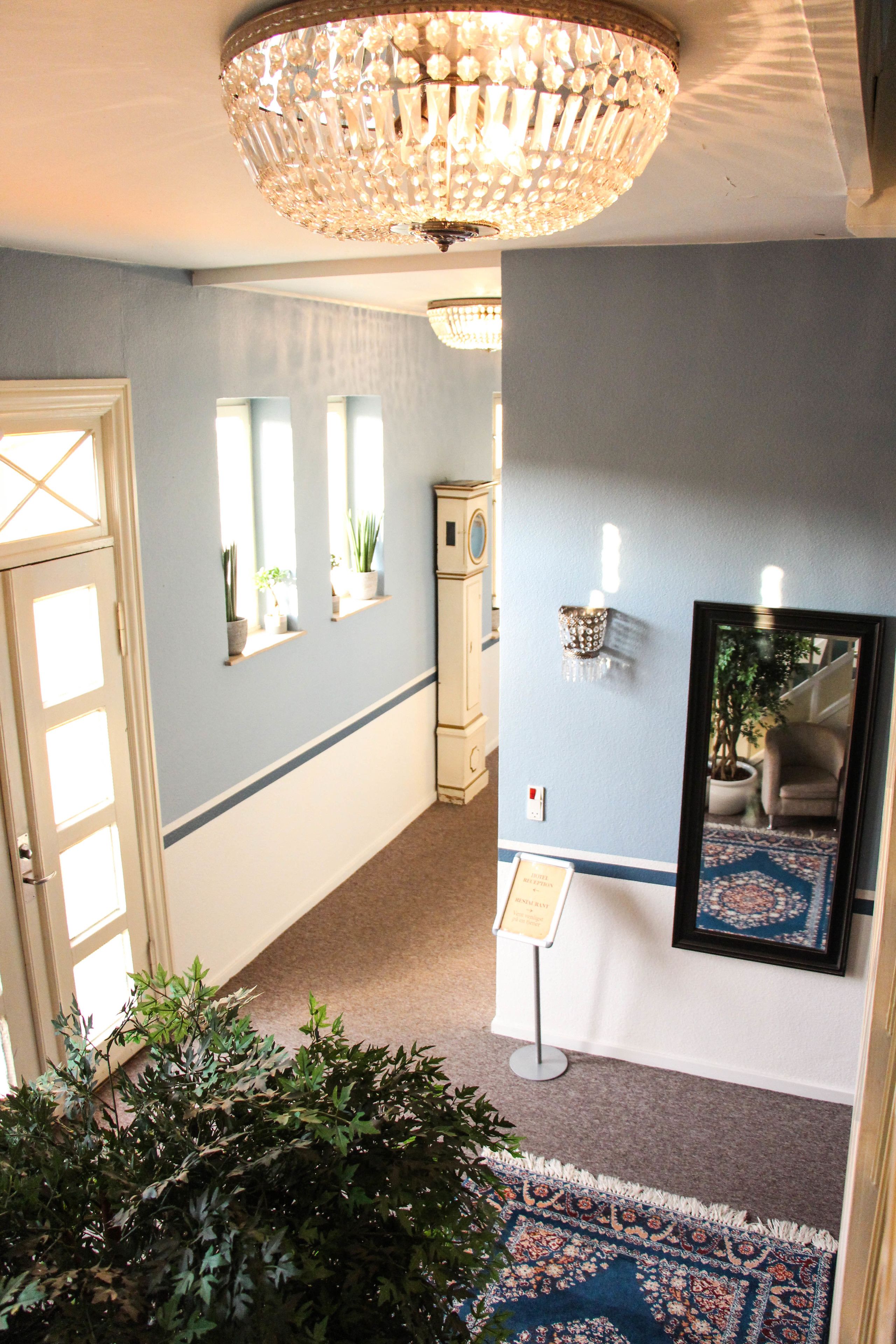 A hallway with a chandelier, a potted plant, a mirror, and a rug.