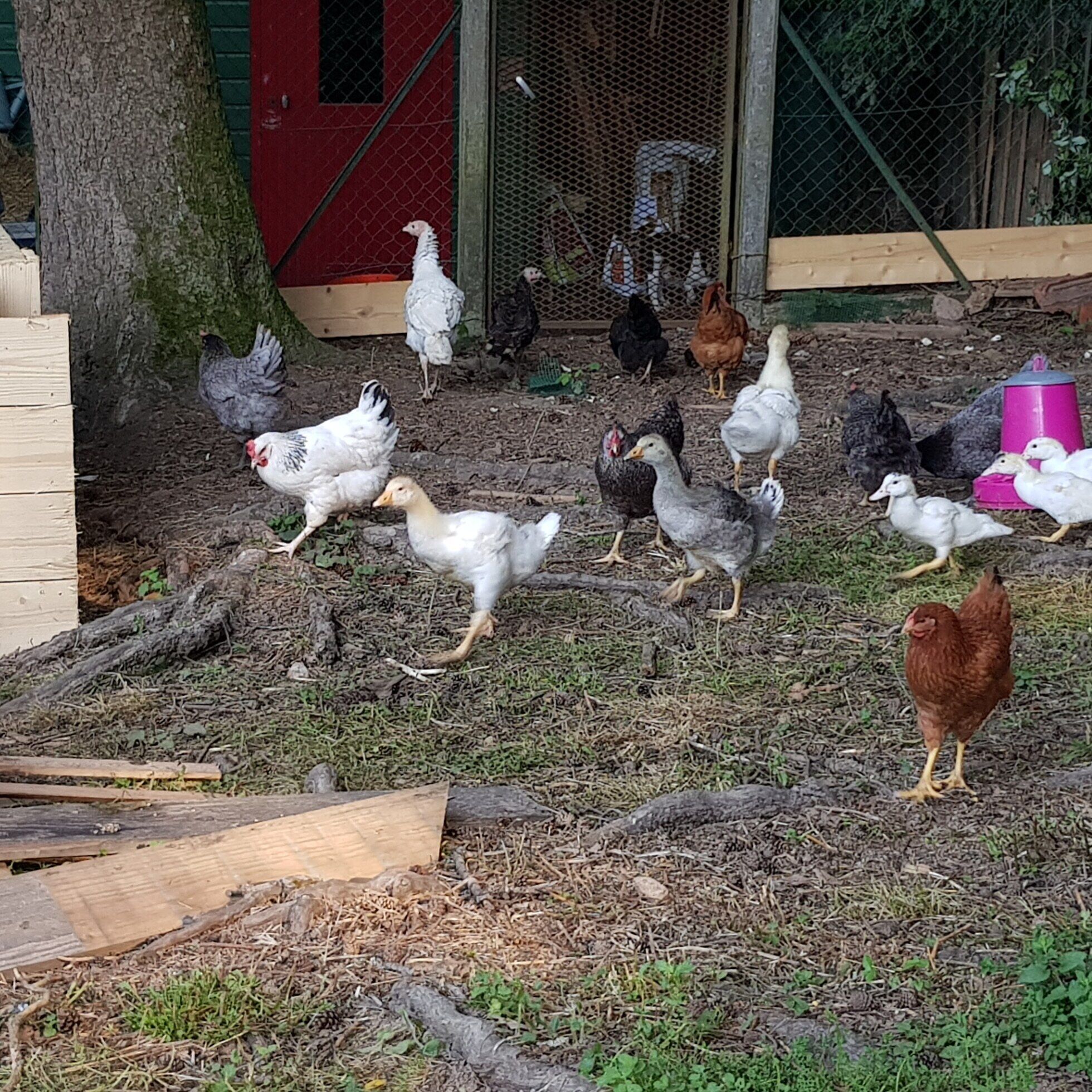 children’s activities