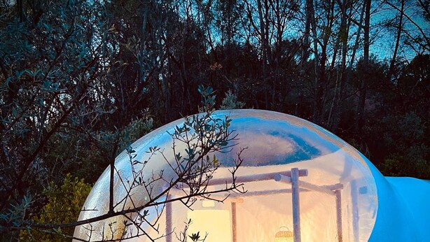 Eine Kuppelkonstruktion aus Glas mit einem Bett und Tisch im Inneren, umgeben von einer Holzterrasse und Bäumen.