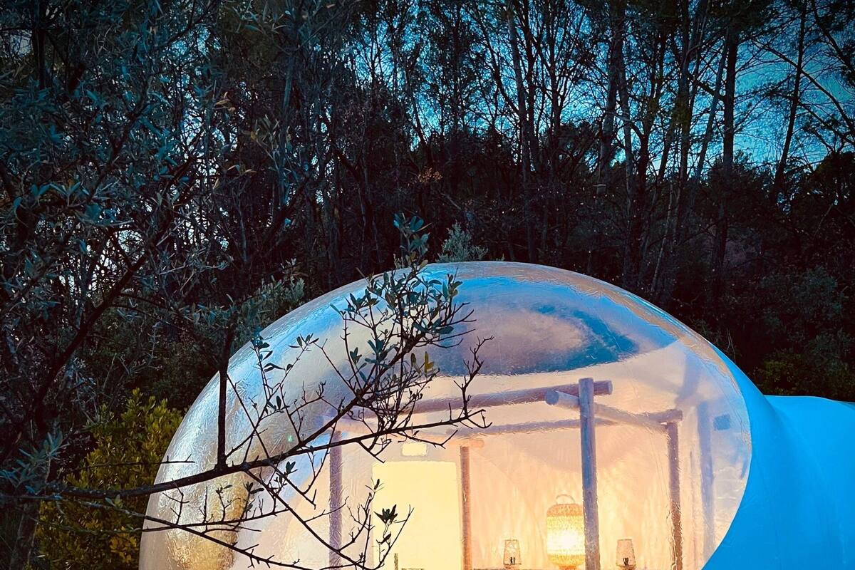 A transparent dome structure with a bed and a table inside, surrounded by a wooden deck and trees.