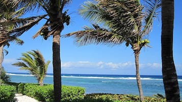 Di pantai, snorkeling, dan berkayak