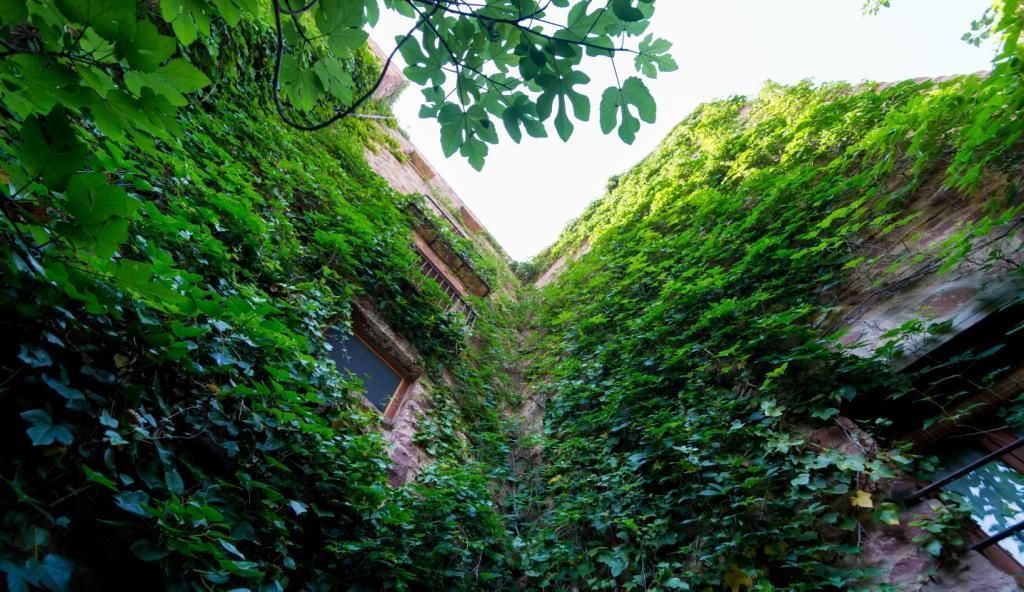 Foto - El Jardín Vertical