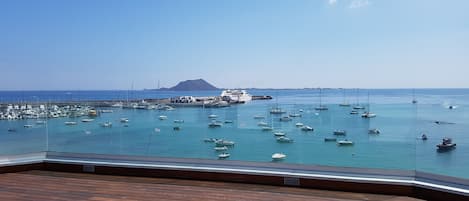 Terras