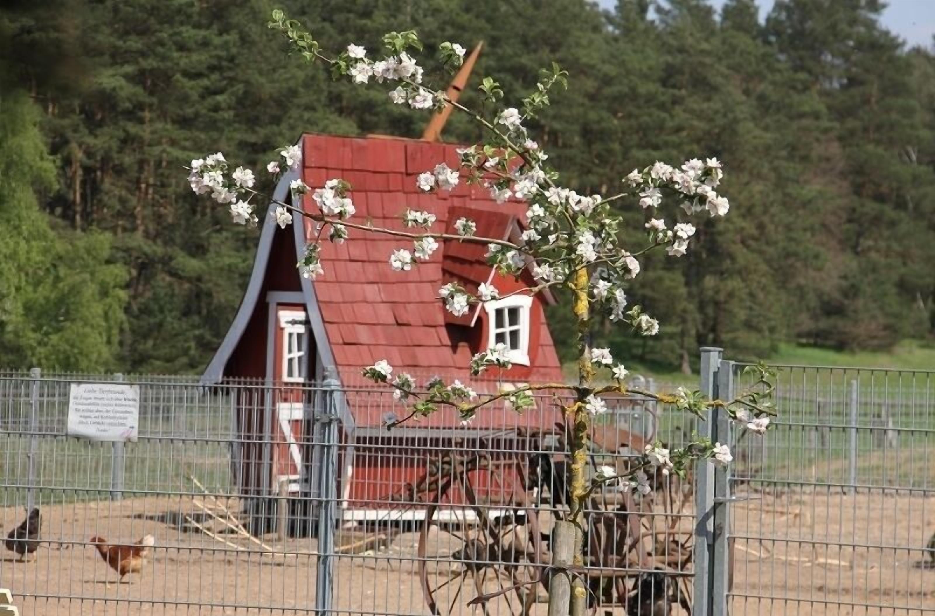 Ein hausähnliches Gebäude mit rotem Dach, einem kleinen Fenster und einer Tür, umgeben von einem Metallzaun.
