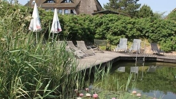 A pond with water lilies, a wooden deck, and lounge chairs. - Kur- & Landhotel Borstel-Treff (Dabel)