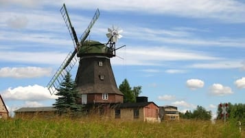 Esterni