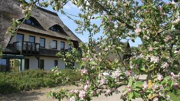 A traditional thatched-roof building with a balcony, surrounded by blooming trees.