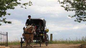 Un carruaje tirado por caballos con toldo, un caballo y un cochero.