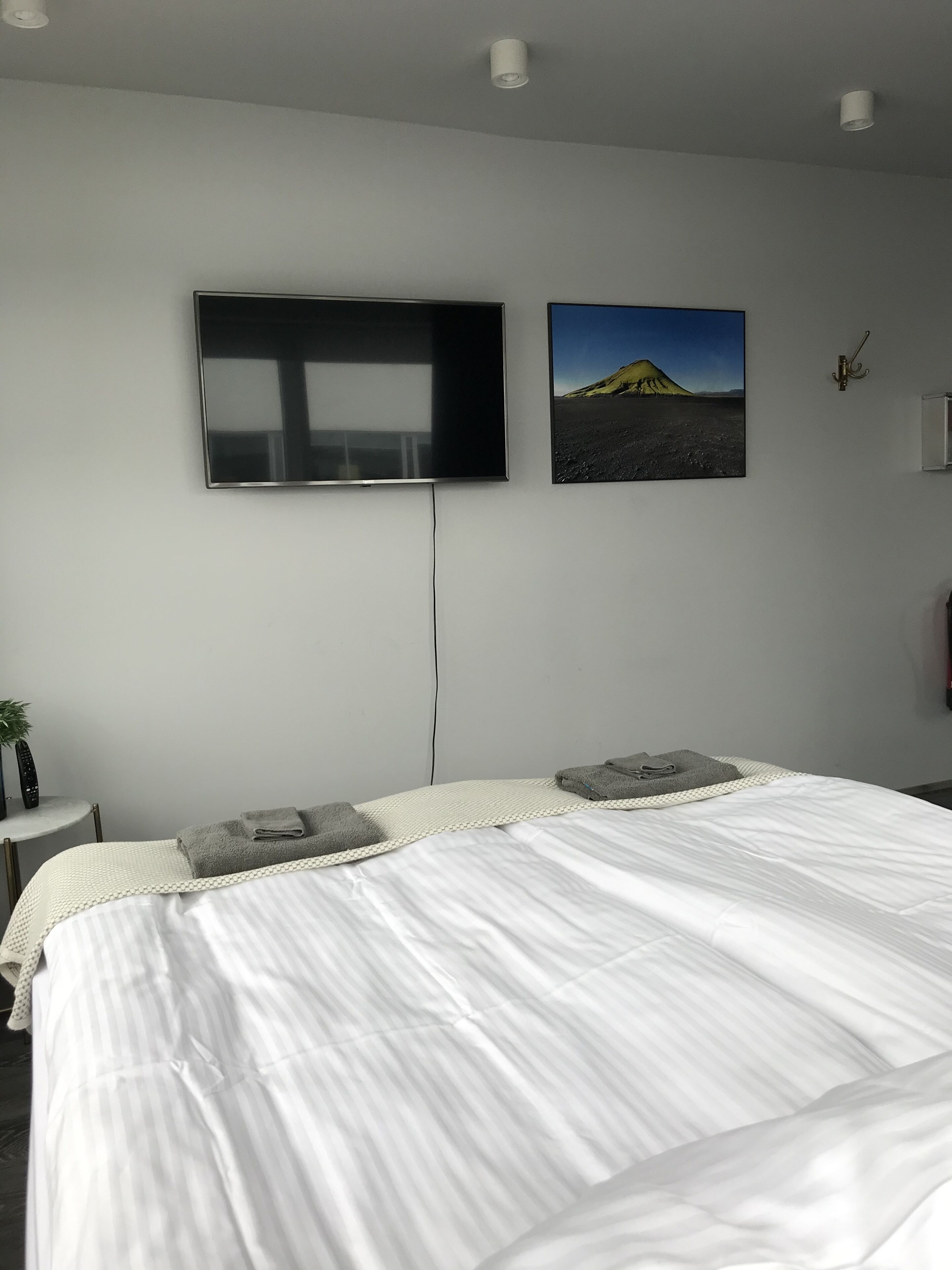 Habitació d'hotel amb un llit gran, un televisor de pantalla plana muntat a la paret i un quadre amb un paisatge.