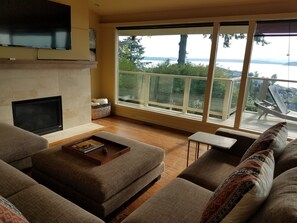 TV connectée, cheminée, lecteur de DVD, livres