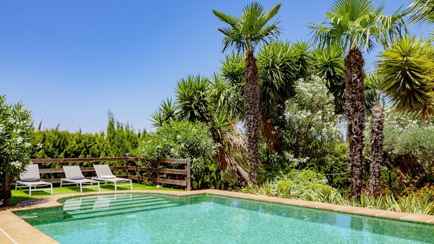 Una piscina rettangolare con acqua cristallina, circondata da una recinzione in legno e una vegetazione rigogliosa, tra cui palme e piante fiorite.