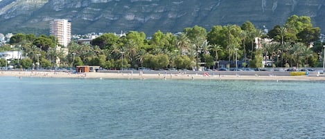 On the beach