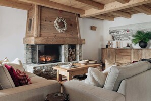 Télévision, cheminée, lecteur de DVD, livres