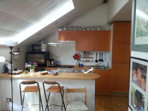 Fridge, microwave, oven, stovetop - Prague: Apartment/ flat - Praga (Praga)