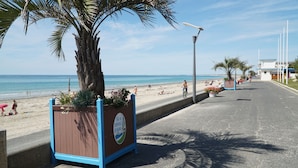 A coastal street with a palm tree planter, beach in the background, and a clear sky.
