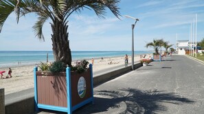 Playa en los alrededores y camastros