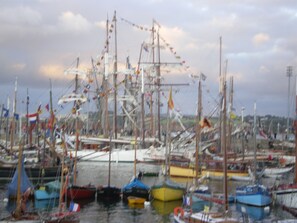 A marina with multiple boats docked.