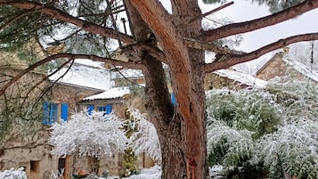 Área da propriedade