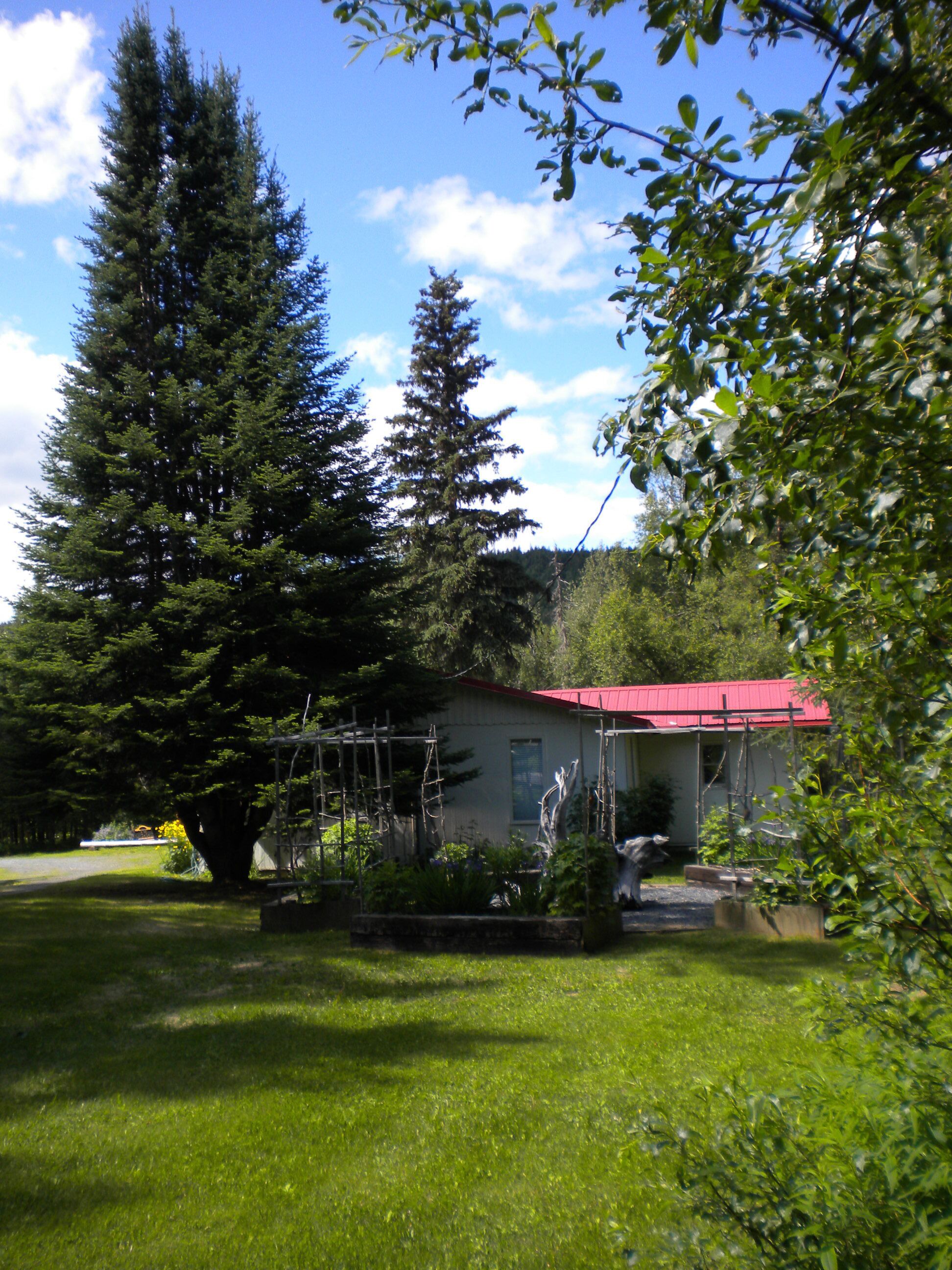 A house with a red roof, surrounded by a well-maintained lawn and tall evergreen trees.