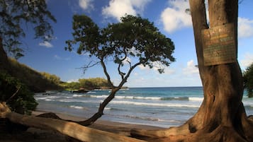 Beach nearby, sun loungers, beach towels