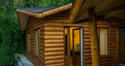 Vila Flora Viseu de Jos