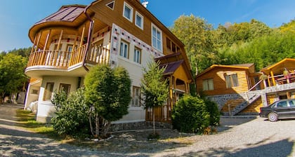 Vila Flora Viseu de Jos