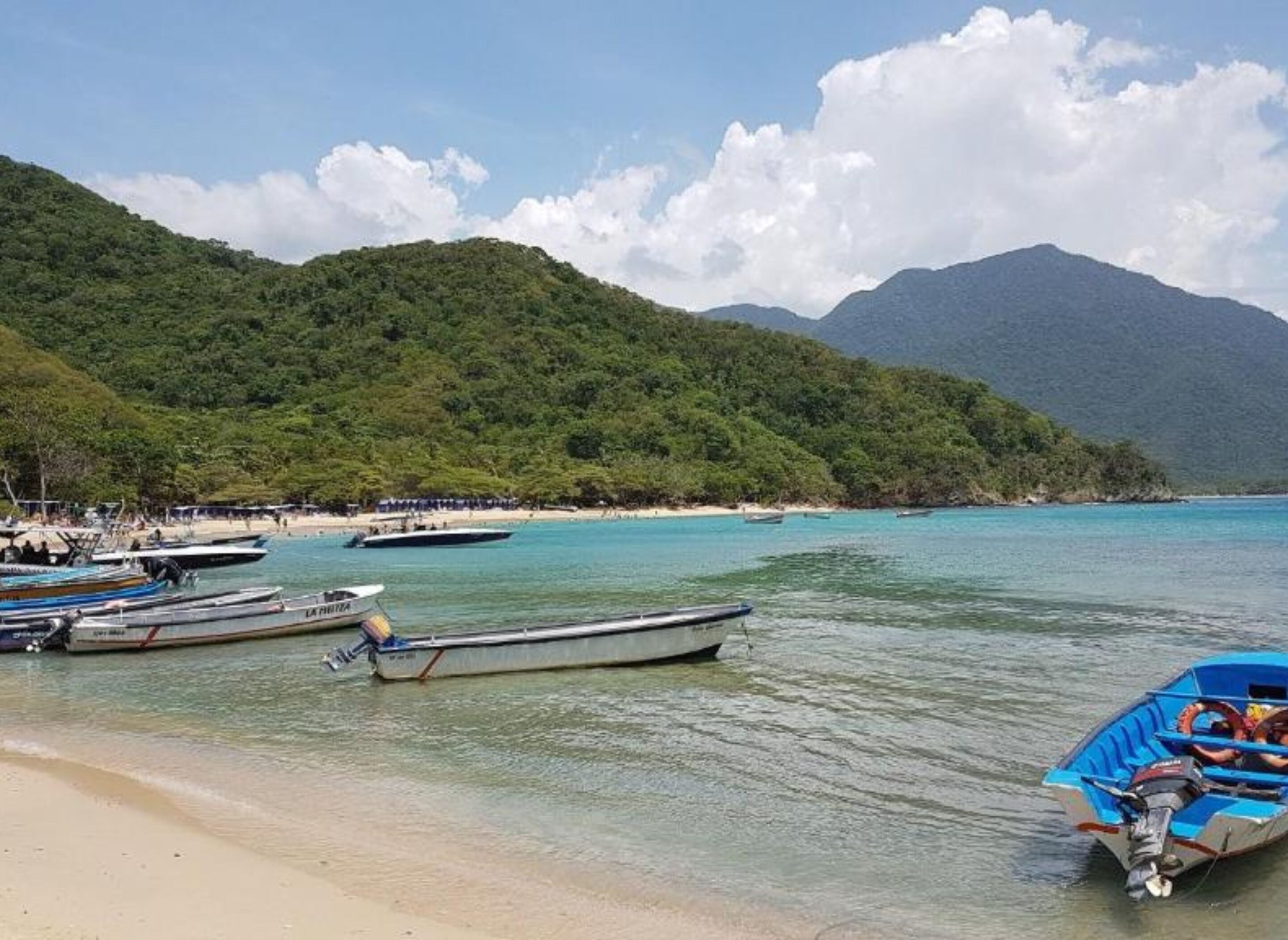 在海滩、沙滩椅、海滩遮阳伞