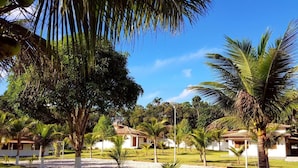 Un complexe hôtelier tropical avec des bâtiments blancs, des palmiers et un ciel d’un bleu éclatant.