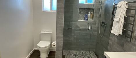 Hair dryer, towels, soap, shampoo