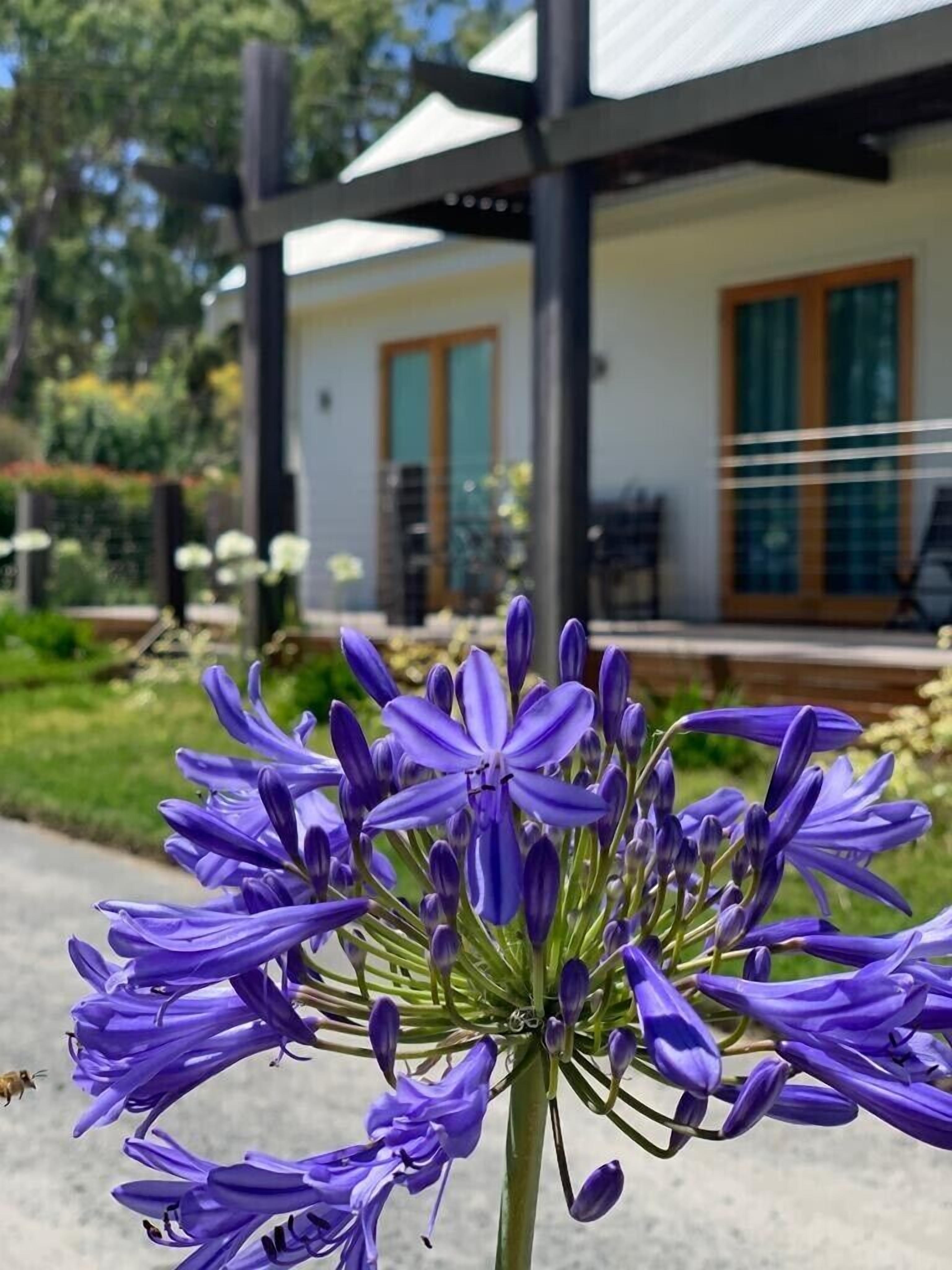 MERRY MOOSE  - LUXURY LODGE ACCOMODATION — image 12