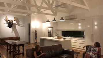 Smart TV, fireplace, Netflix, stereo