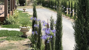 Ein Gartenweg mit einer Pergola, einem Steinpflanzgefäß und Reihen von Nadelbäumen.