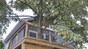 A two-story house with a wooden deck and a tree in front. - New Loft w/South River view from treehouse deck! (Riva)