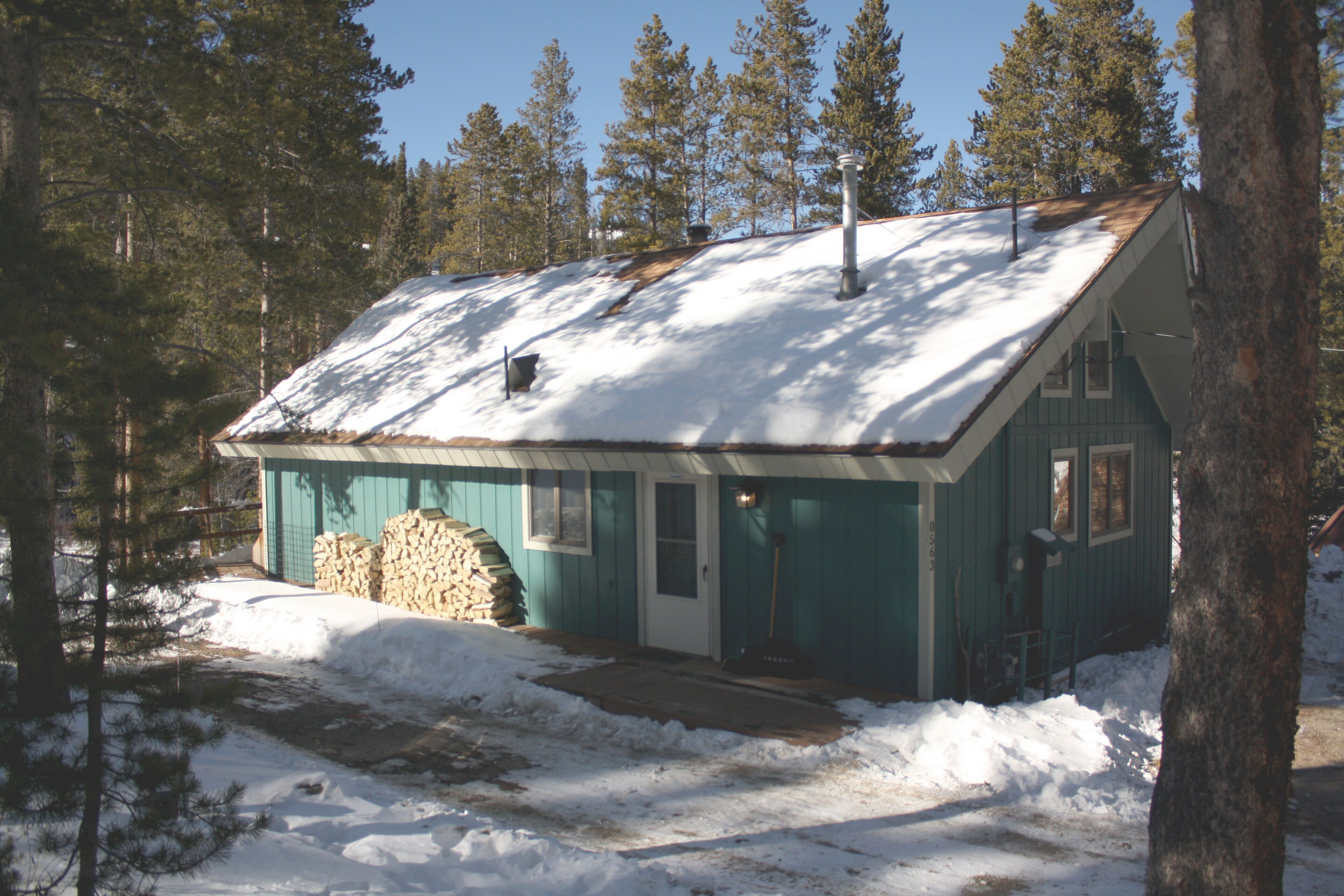 Black Bear Crossing: Pet-Friendly Bliss with a Touch of Retro Nostalgia