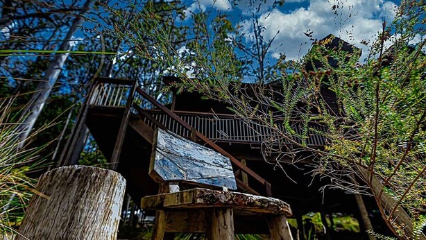 Un escalier en bois rustique mène à un bâtiment doté d’une rambarde en métal, le tout étant entouré d’un feuillage dense.