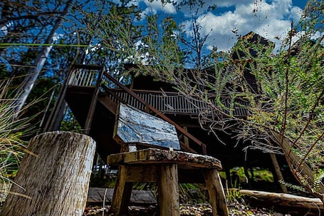 Property grounds. The Cabin - Your Eco Place In the Mountains
