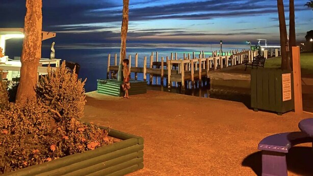 A nighttime beach scene with palm trees, a wooden pier, and a bench.