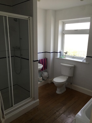 Bathtub, hair dryer, soap