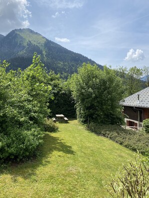 Property grounds - Chalet with stunning views in the Valley D'Abondance (La Chapelle-D'abondance)