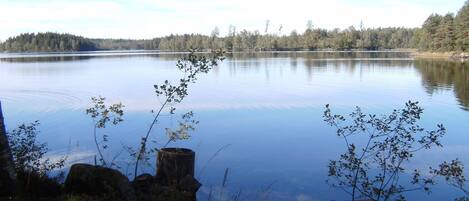 A calm lake with a forested shoreline and a clear sky.