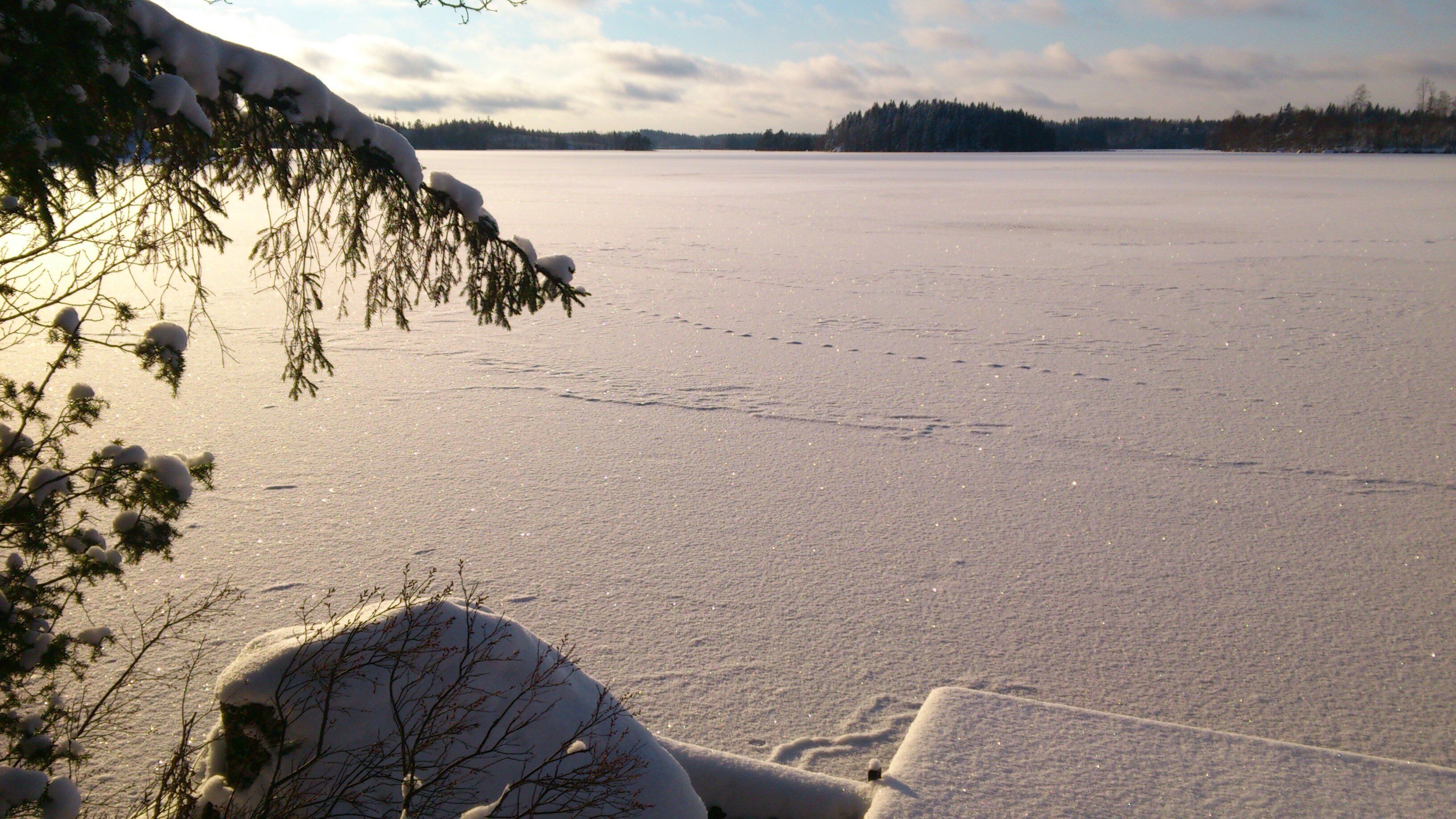 Um lago congelado com árvores cobertas de neve ao primeiro plano.