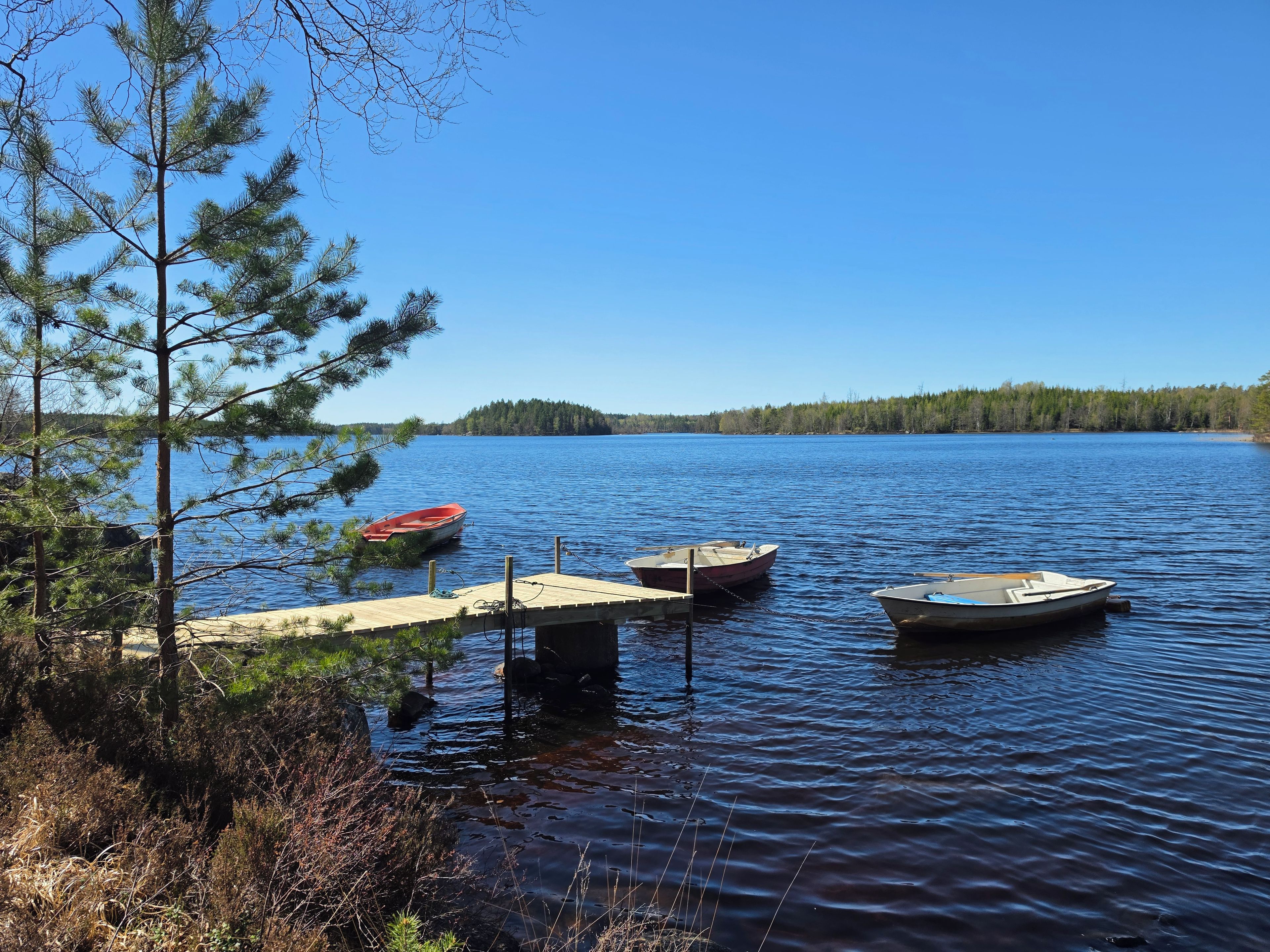 Un lac paisible où trois bateaux sont amarrés à des quais en bois, le tout entouré d’arbres.