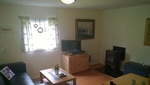 A living room with a sofa, a coffee table with a flower vase, a television on a wooden cabinet, and a fireplace. - Cozy cottage near the lake, including free Wi-Fi and own rowing boat (Hallaryd)