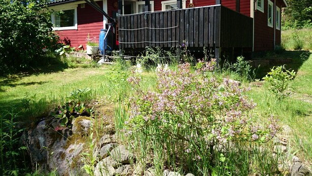 A red cabin with a wooden deck, surrounded by lush greenery and wildflowers. - Cozy cottage near the lake, including free Wi-Fi and own rowing boat (Hallaryd)