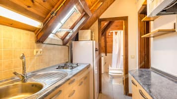 Fridge, microwave, oven, coffee/tea maker