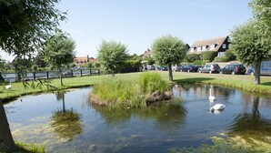 A pond with swans, surrounded by grass and trees, with houses and cars in the background. - Little Chequers is a pretty pet friendly cottage , sleeps 3. close to Aldeburgh (Friston)