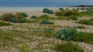 A coastal landscape with a pebbled beach, green vegetation, and a distant shoreline with buildings. - Little Chequers is a pretty pet friendly cottage , sleeps 3. close to Aldeburgh (Friston)
