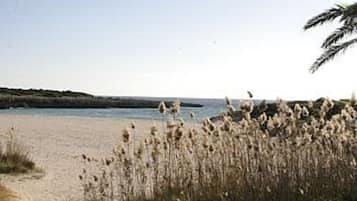 NĂ€ra stranden och solstolar