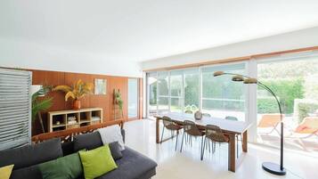 Smart TV, fireplace, books