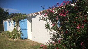 Un piccolo edificio a un piano con facciata bianca e persiane blu, immerso nel verde e tra piante fiorite.